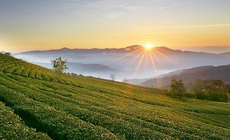 Hành trình 3 ngày 2 đêm siêu khuyến mai khởi từ TP. HCM đến với xứ sở ngàn hoa Hành trình 3 ngày 2 đêm siêu khuyến mai khởi từ TP. HCM đến với xứ sở ngàn hoa
