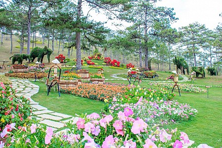 Những điều cần biết để có chuyến đi du xuân tết Đà Lạt giá rẻ Những điều cần biết để có chuyến đi du xuân tết Đà Lạt giá rẻ