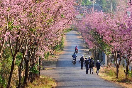 Những điều đáng lưu ý khi đi Đà Lạt vào tháng 12 Những điều đáng lưu ý khi đi Đà Lạt vào tháng 12